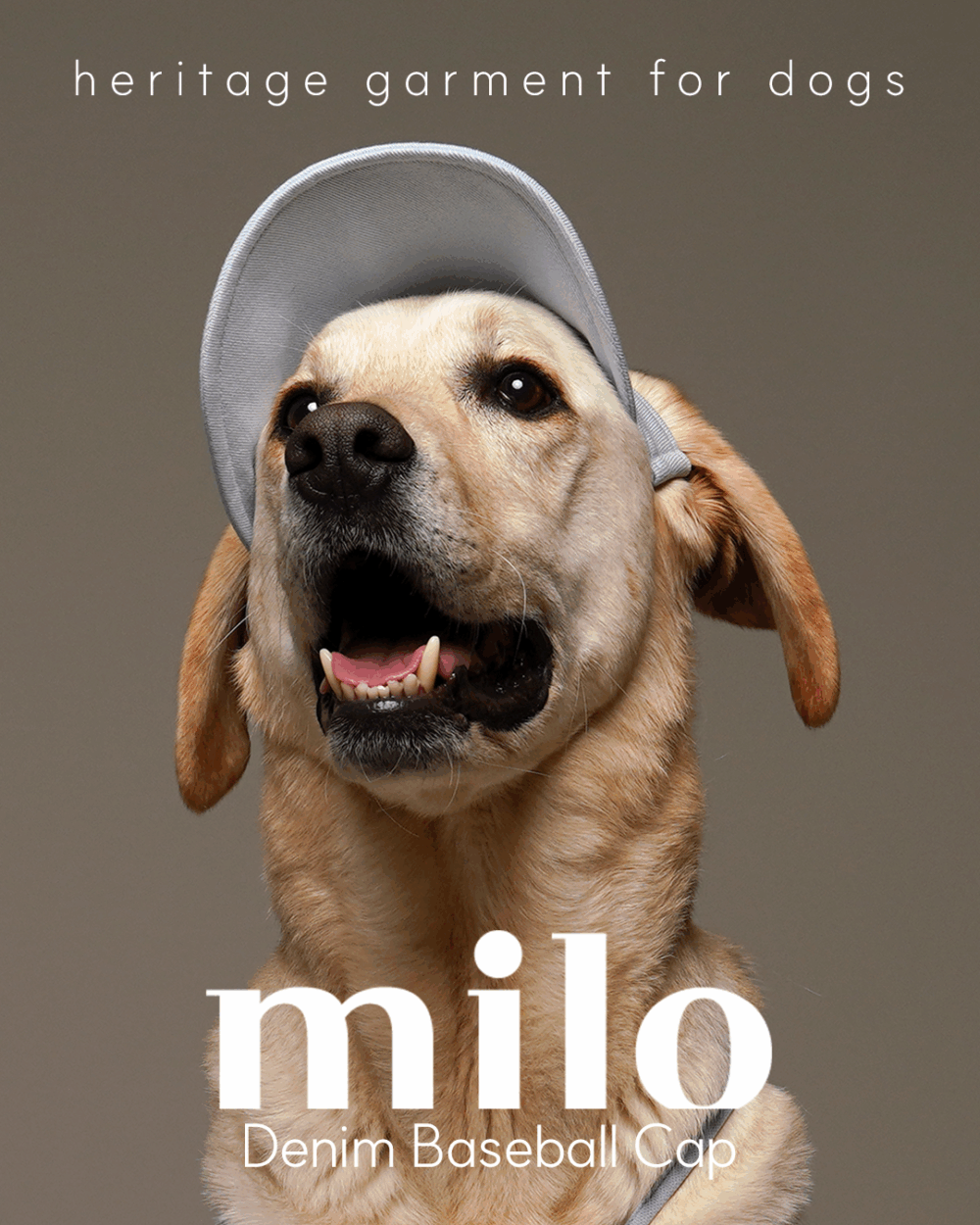 Milo 狗狗棒球帽(三色)