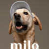 Milo 狗狗棒球帽(三色)