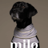 Milo 涼感領巾(兩色)