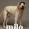 Milo 無袖涼感衣(黃)