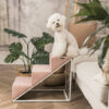 Danbeepet Gentle step 三層階梯