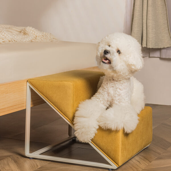 Danbeepet Gentle step兩層階梯