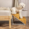 Danbeepet Gentle step兩層階梯