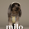Milo 無袖涼感衣(黃)