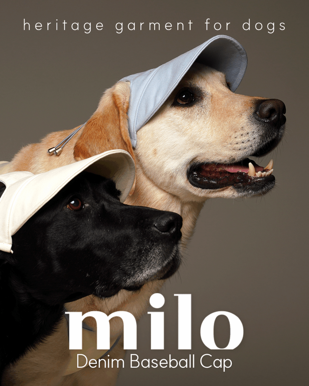 Milo 狗狗棒球帽(三色)