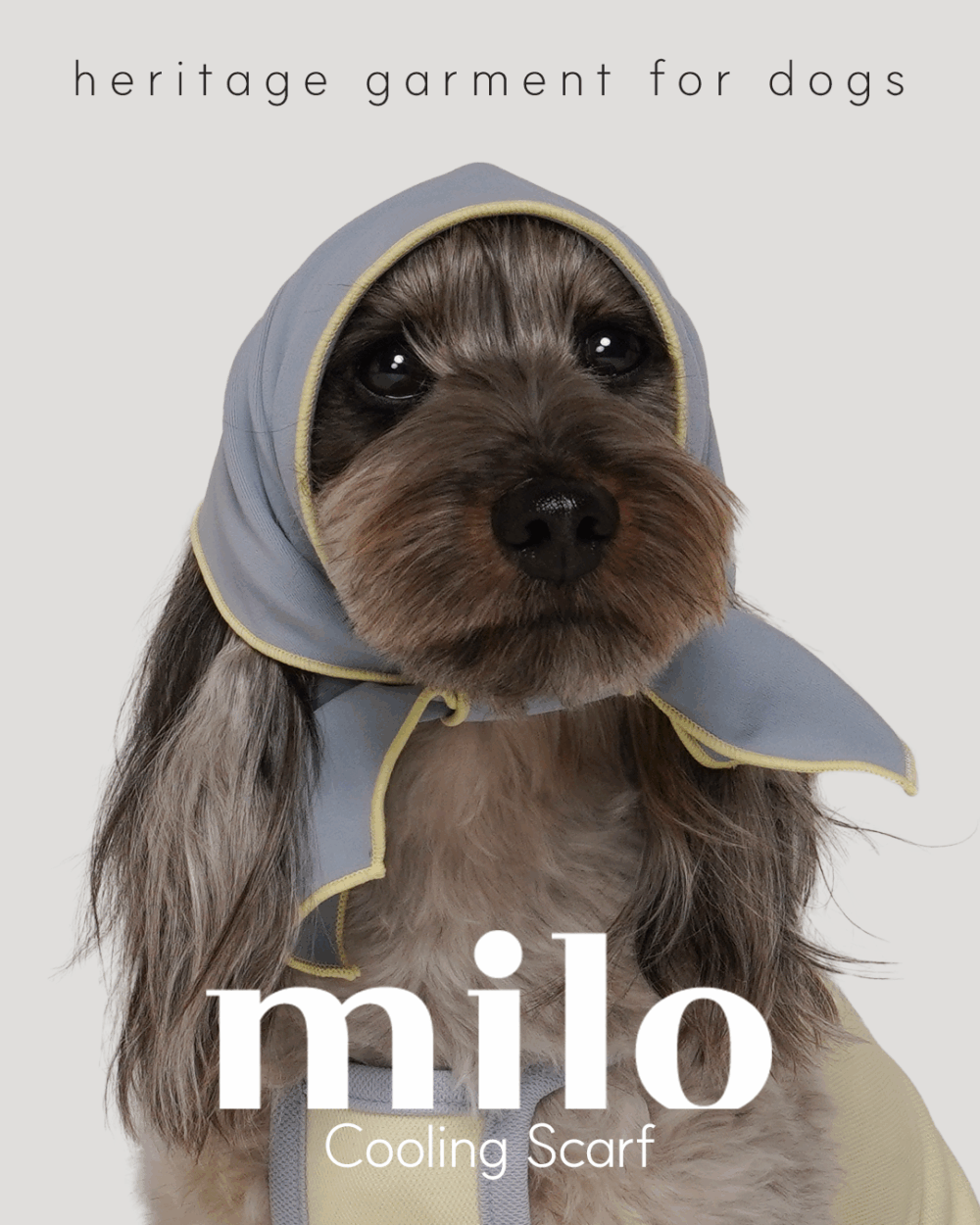 Milo 涼感領巾(兩色)