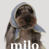 Milo 涼感領巾(兩色)