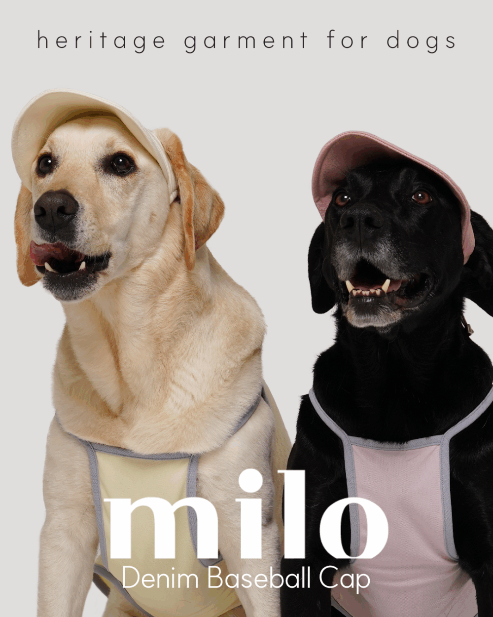 Milo 狗狗棒球帽(三色)
