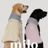 Milo 無袖涼感衣(黃)