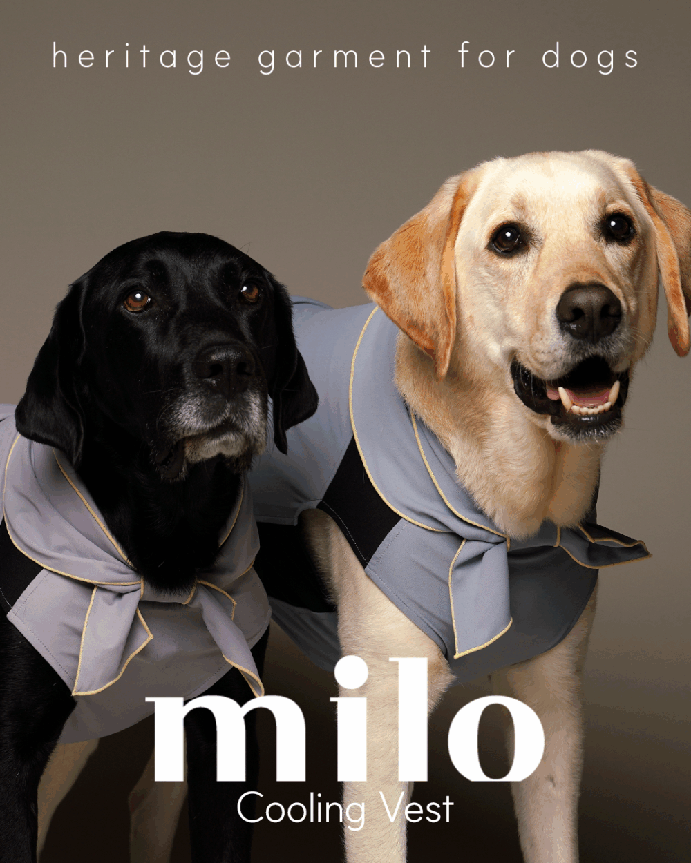 Milo 涼感領巾(兩色)