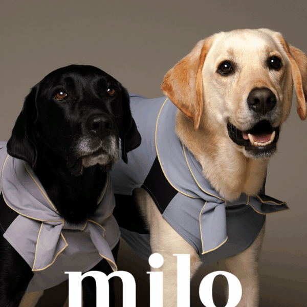 Milo 涼感領巾(兩色)