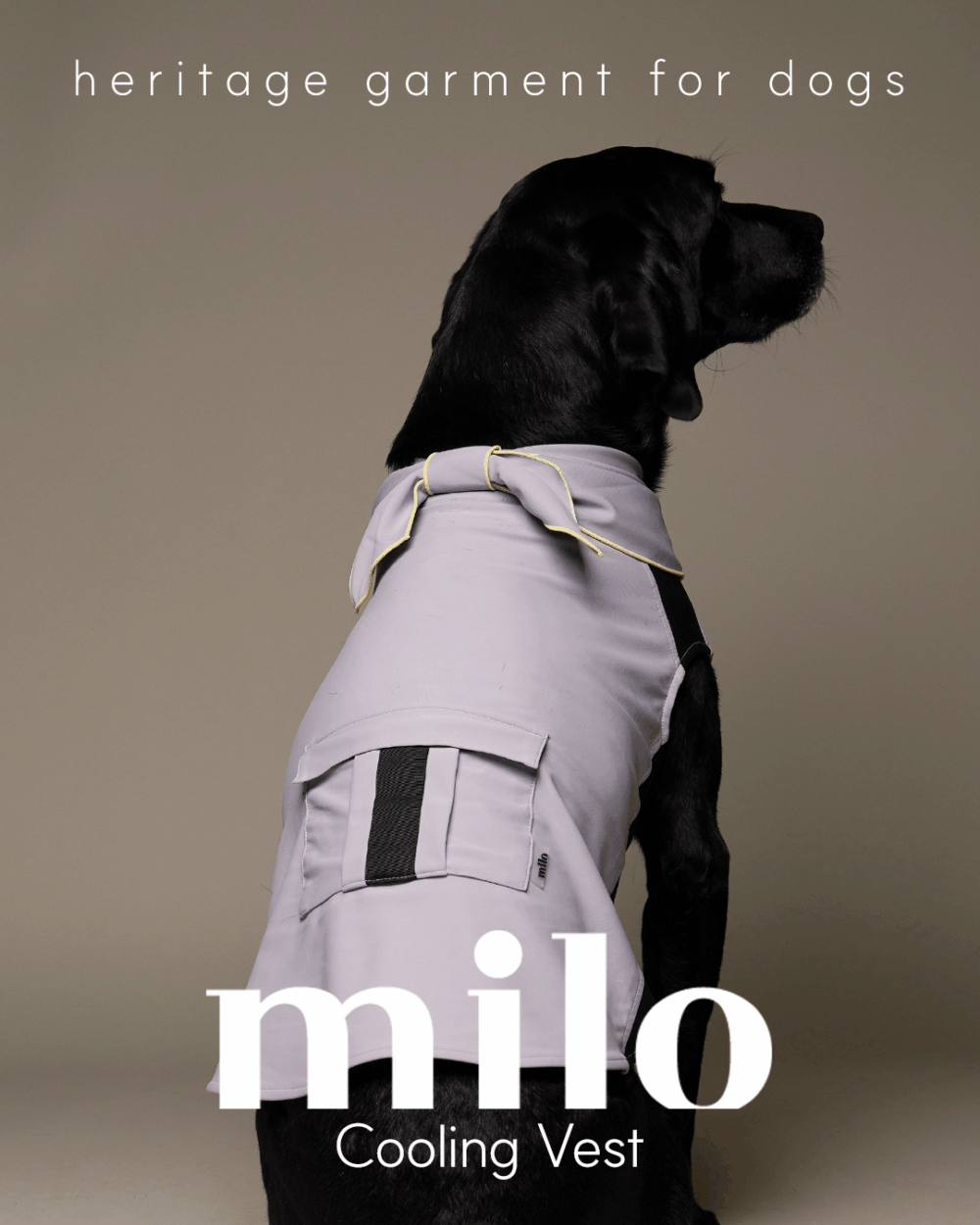 Milo 機能涼感背心(粉紫款)