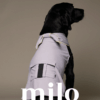 Milo 機能涼感背心(粉紫款)