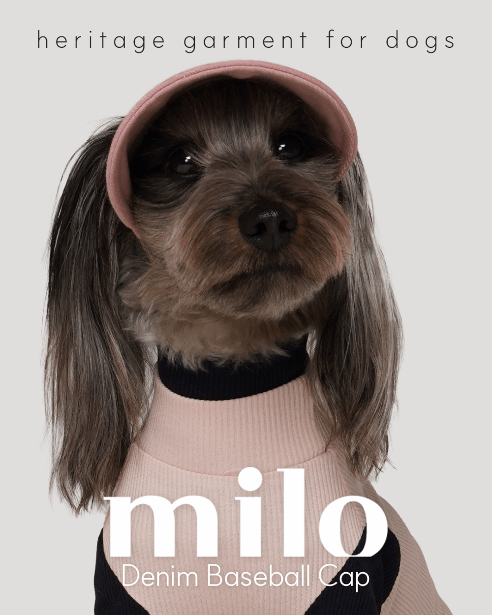 Milo 狗狗棒球帽(三色)
