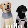 Milo 無袖涼感衣(粉)