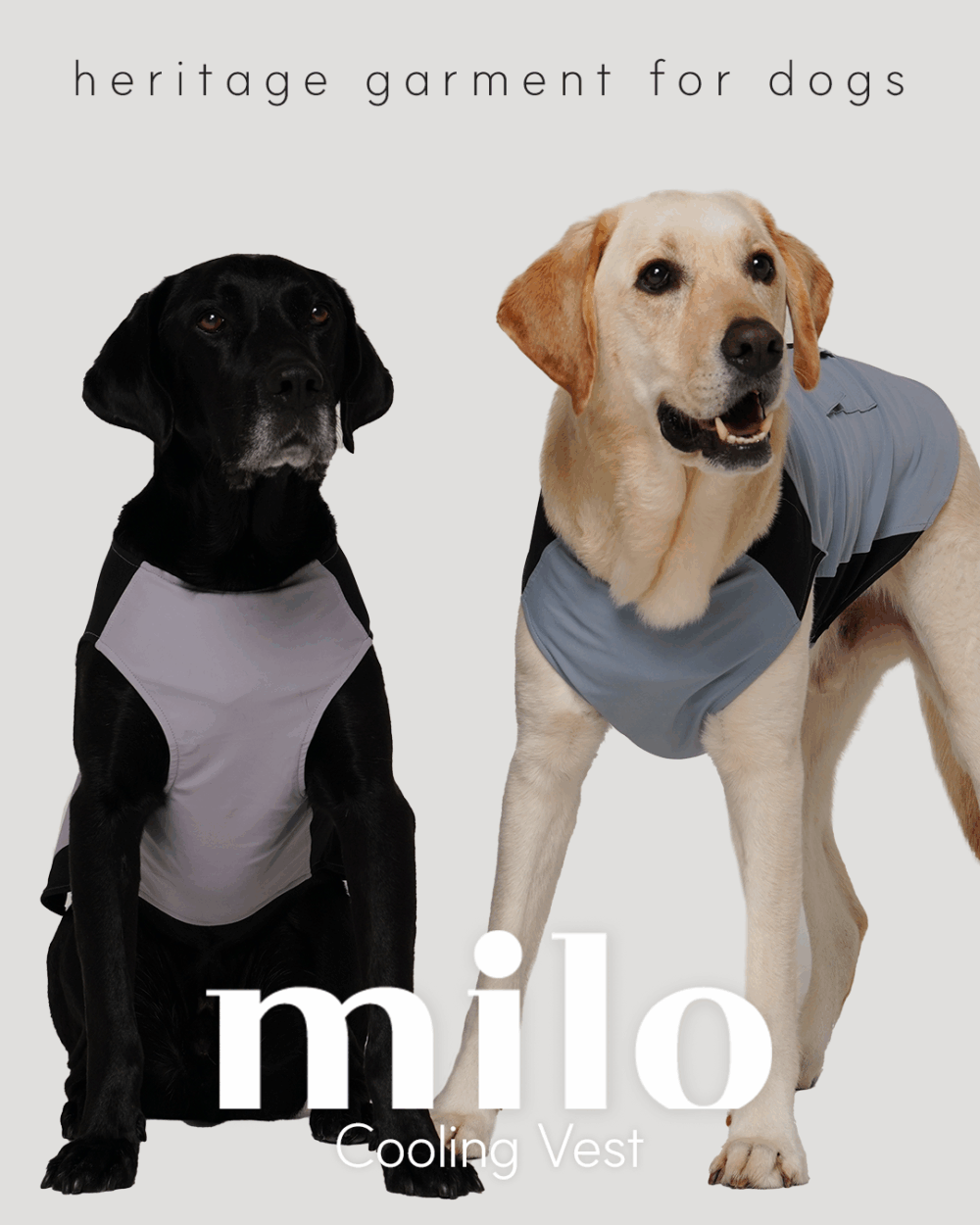 Milo 機能涼感背心(天空藍款)