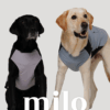 Milo 機能涼感背心(天空藍款)