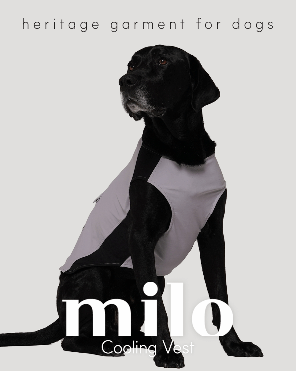 Milo 機能涼感背心(粉紫款)