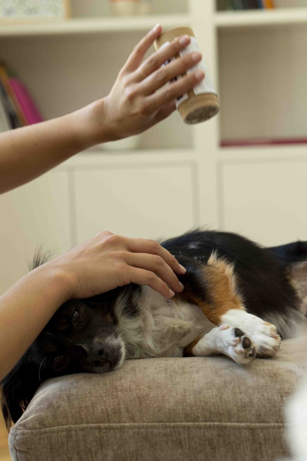 TouTou petcare 有機認證乾洗毛粉
