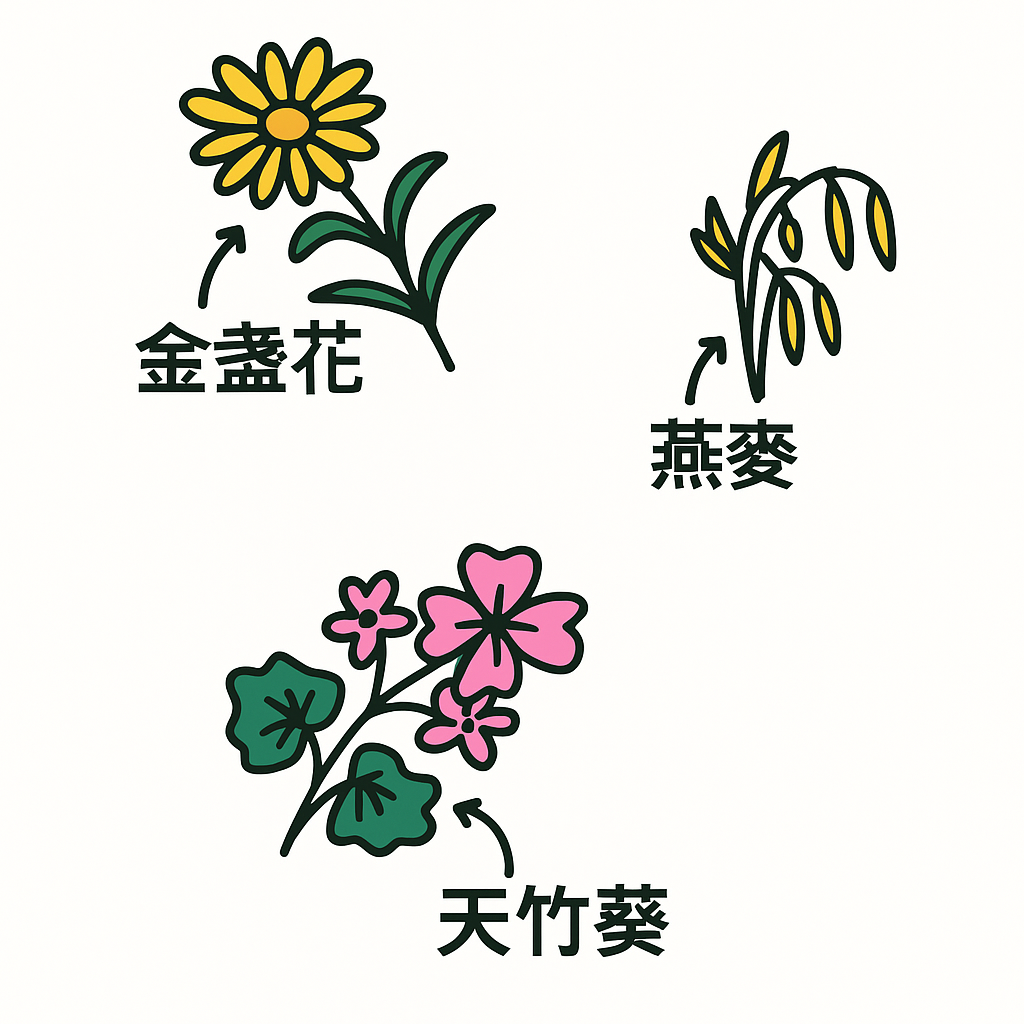 TouTou petcare 有機認證乾洗毛粉