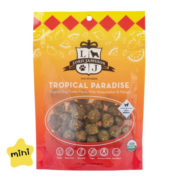 樂健森 熱帶饗宴迷你能量球