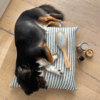 TouTou petcare 長毛／中長毛犬專用雙面梳