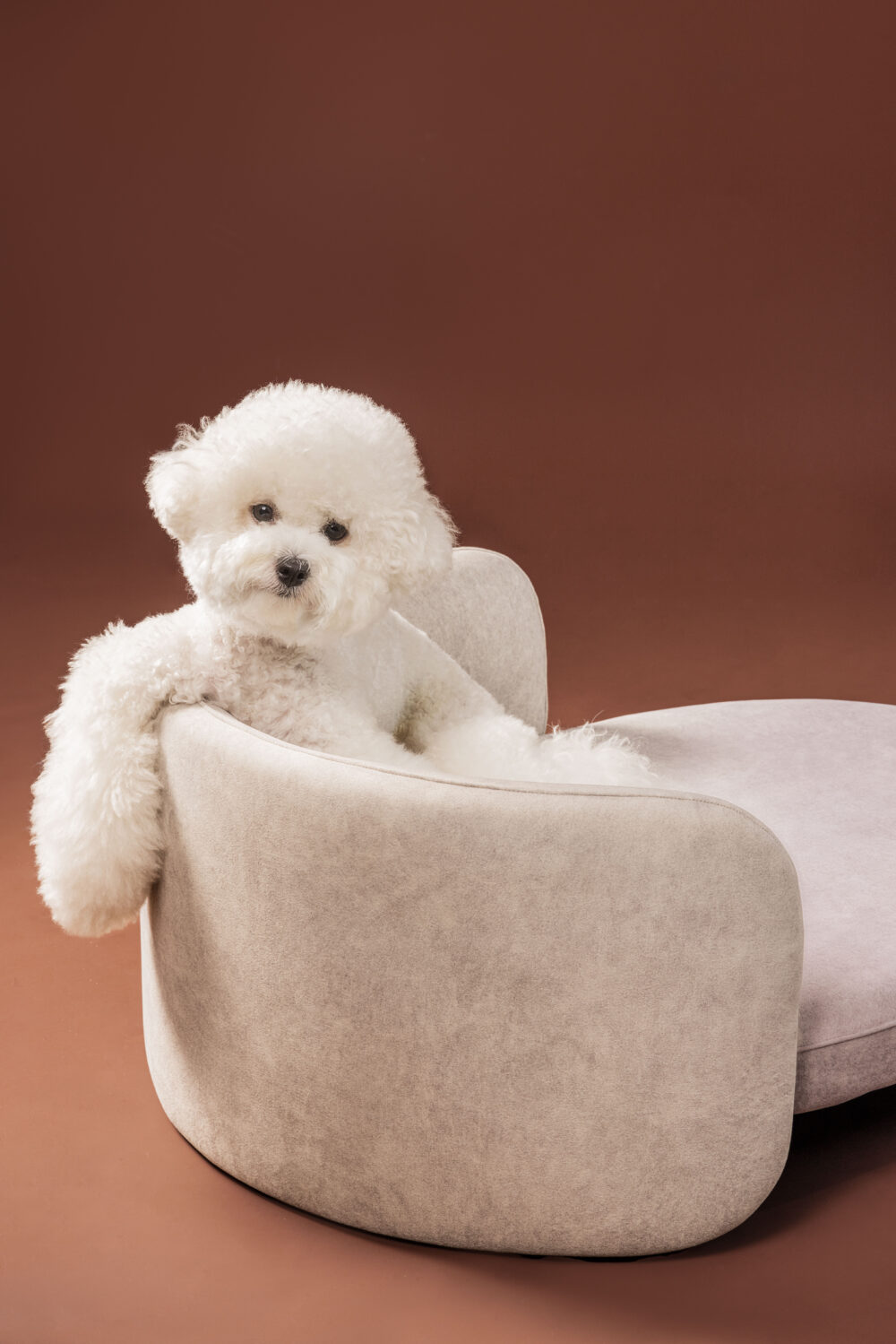 Danbeepet Boli bed