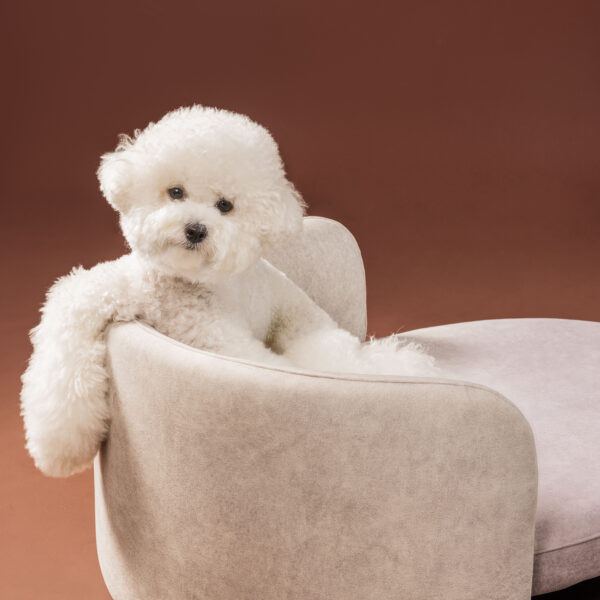 Danbeepet Boli bed