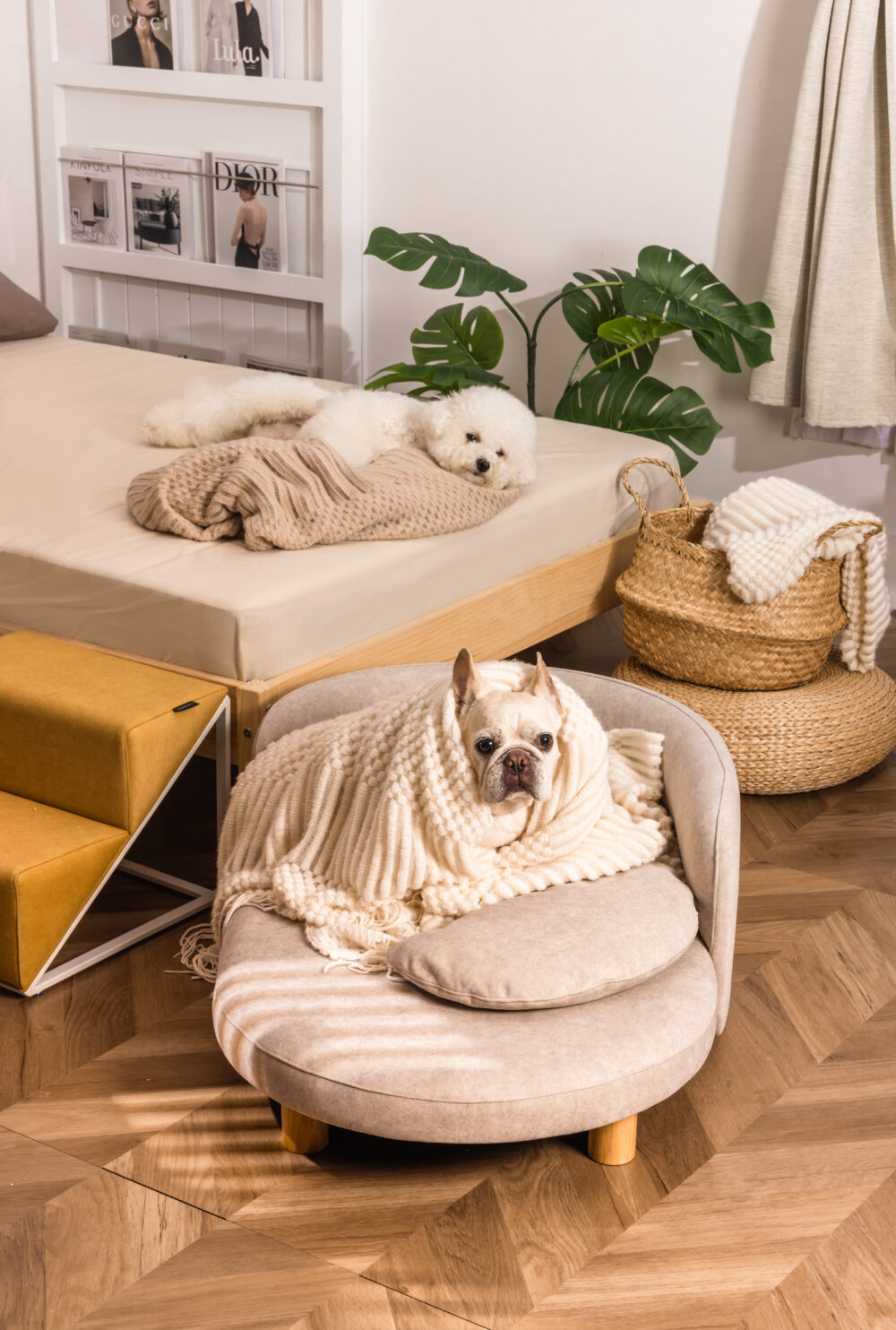 Danbeepet Kimmy bed