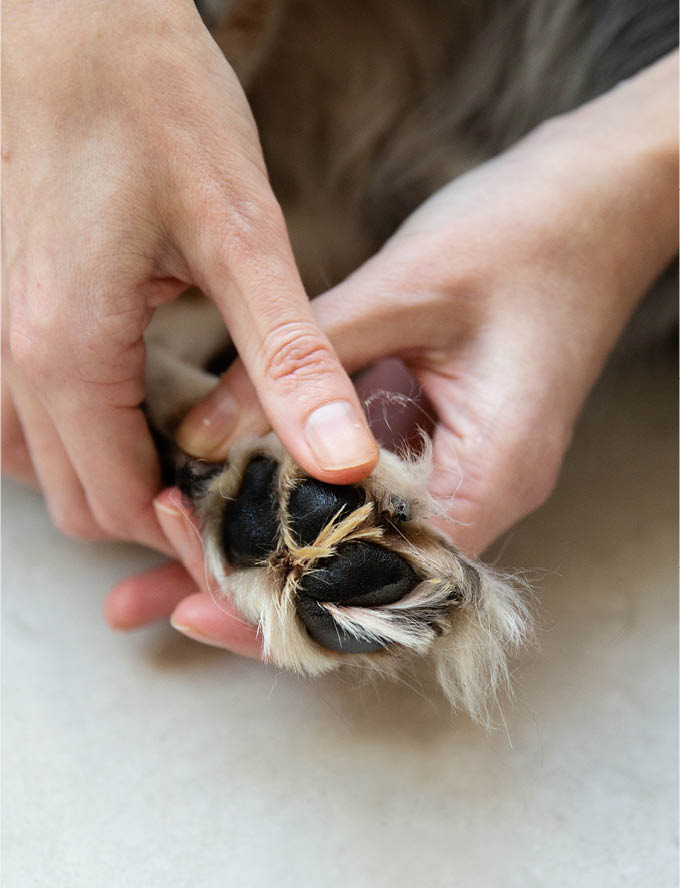 PAWNESS 狗用護膚膏