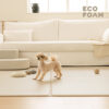 TIER RAUM FLAT Living地墊2.0
