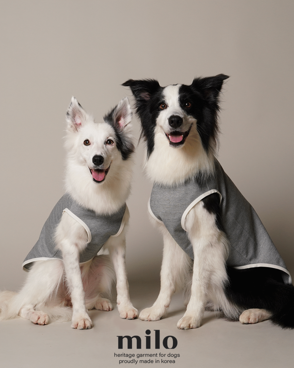 Milo 經典鈕扣T-Shirt