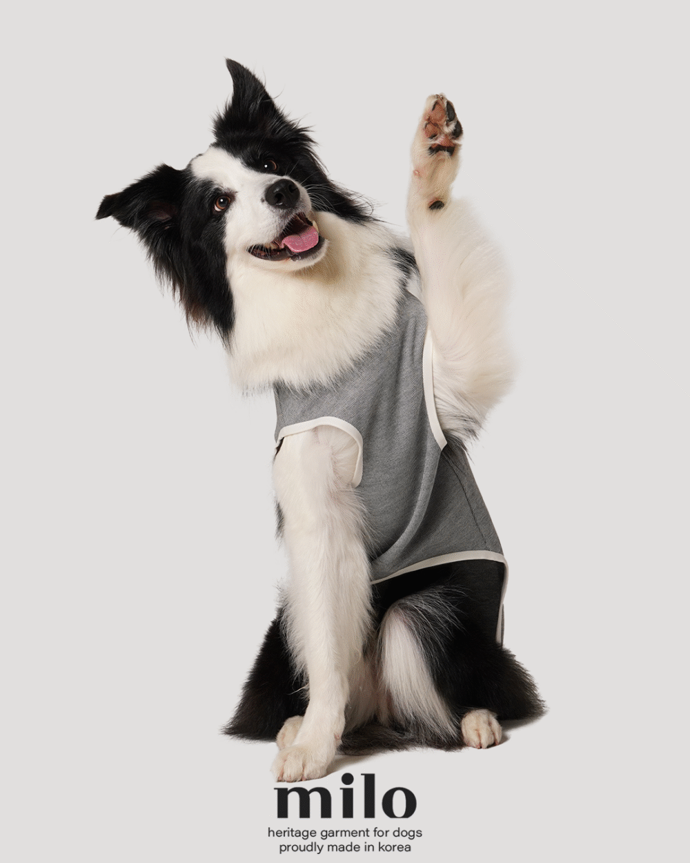 Milo 經典鈕扣T-Shirt