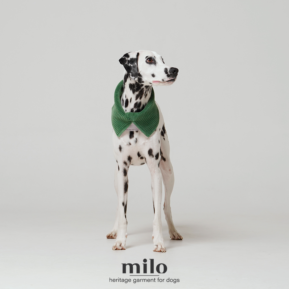 Milo 冬季圍脖(兩色)