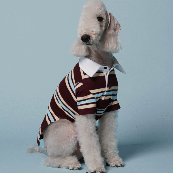 (1) Milo 經典條紋T-Shirt 酒紅款