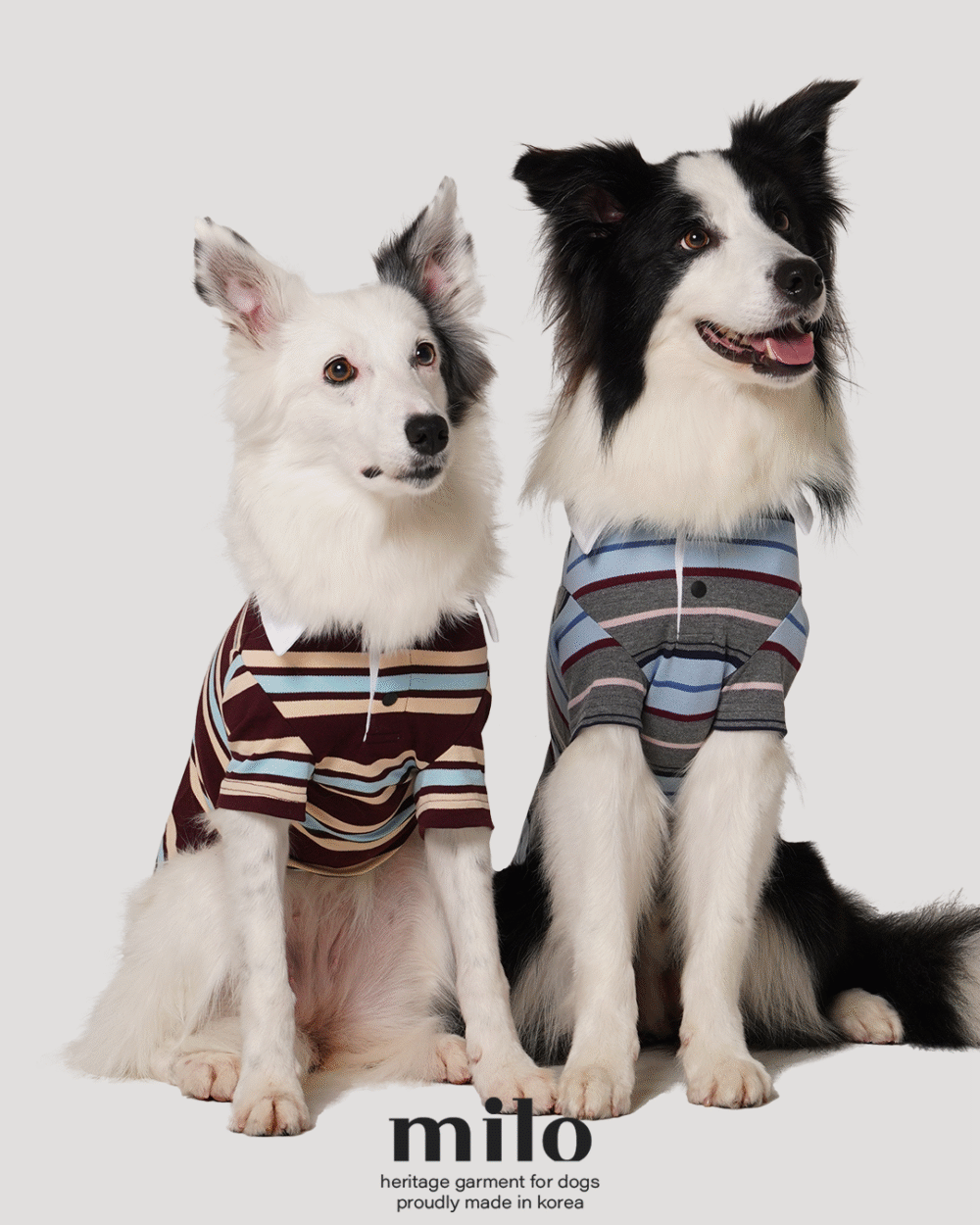 Milo 經典條紋T-Shirt 經典灰款