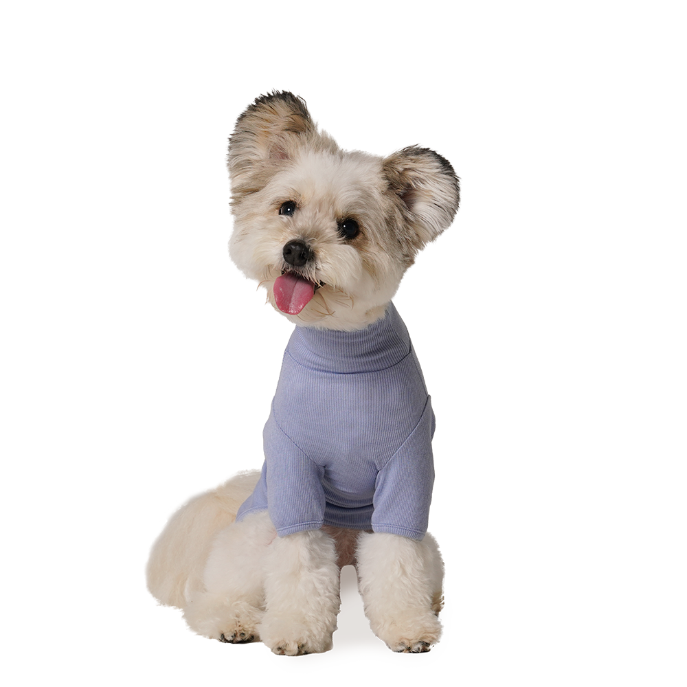 Milo 羊毛蠶絲高領衣(三色)