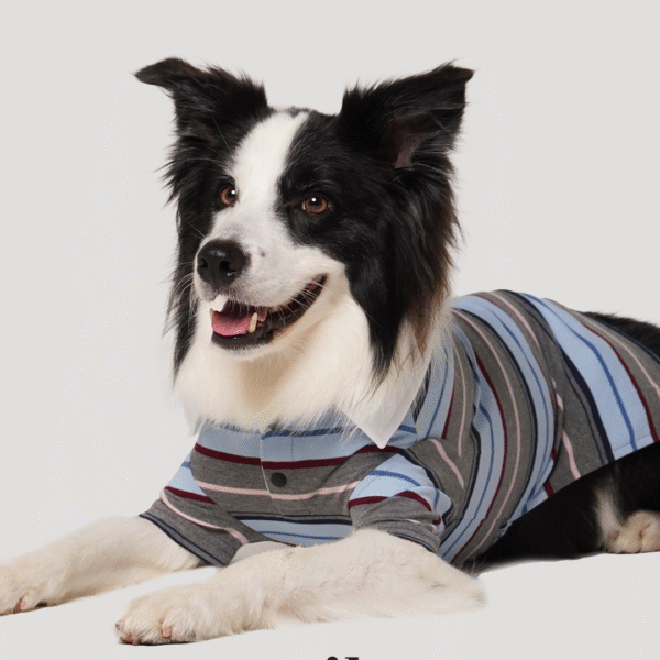 (4) Milo 經典條紋T-Shirt 經典灰款