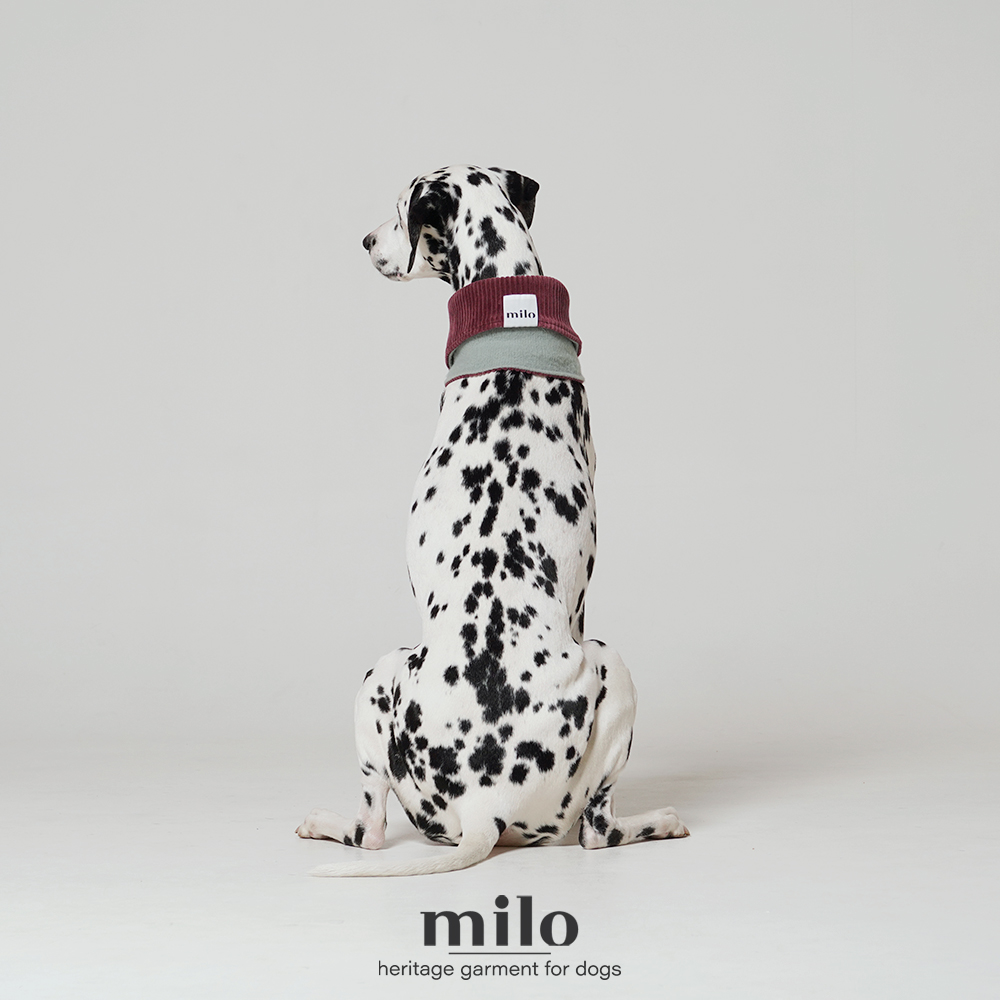 Milo 冬季圍脖(兩色)