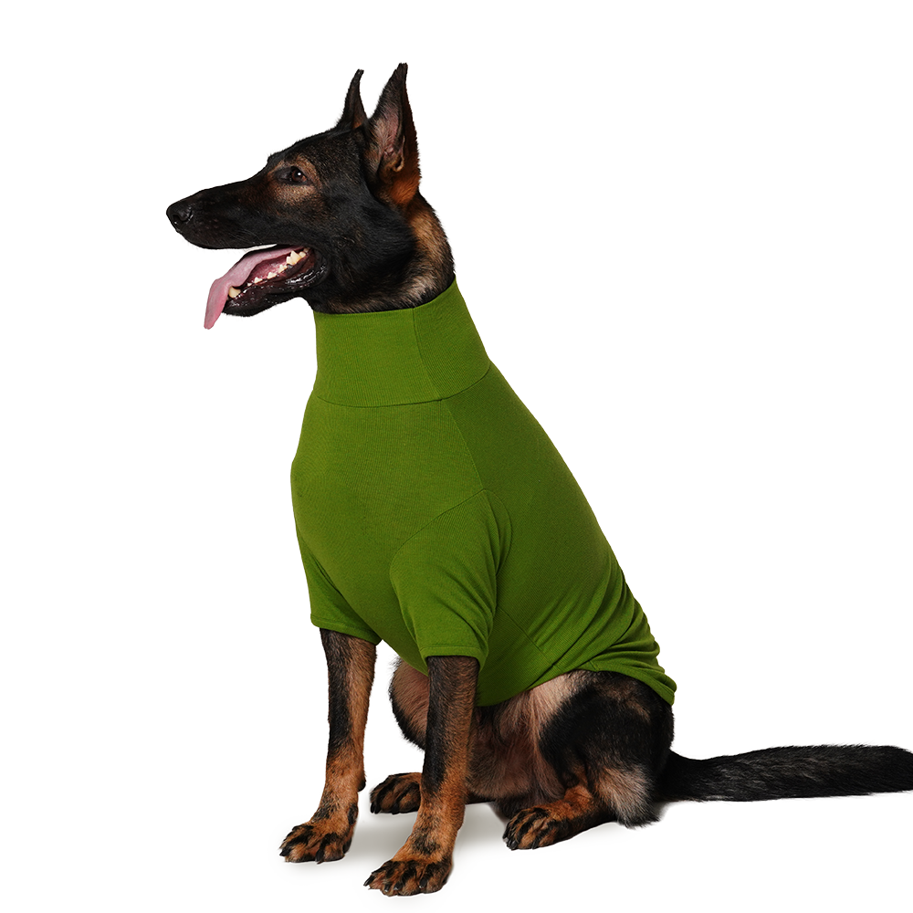 Milo 羊毛蠶絲高領衣(三色)