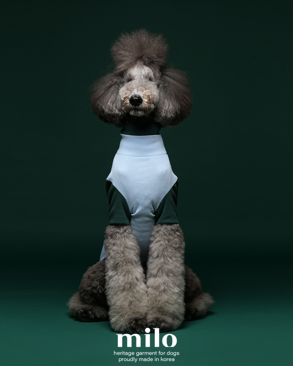 Milo 雙色高領T-Shirt 淡藍色款(預購)