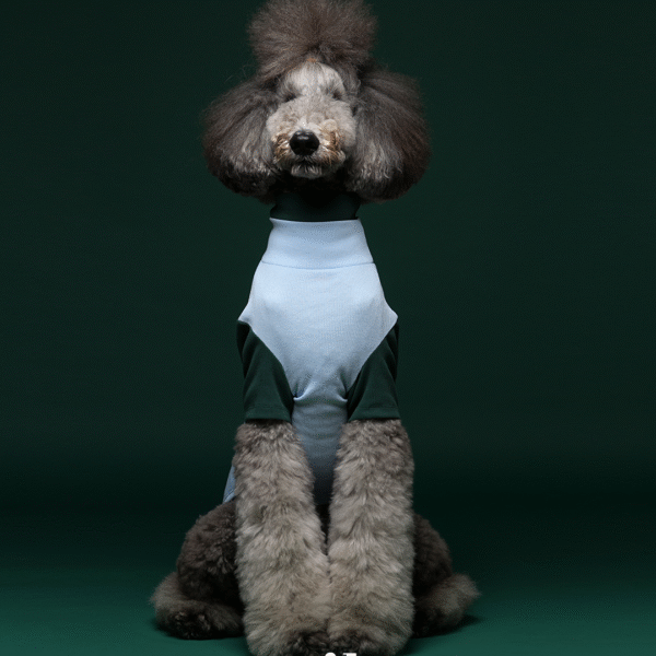 double neck t-shirt(1) Milo 雙色高領T-Shirt 淡藍色款(預購)