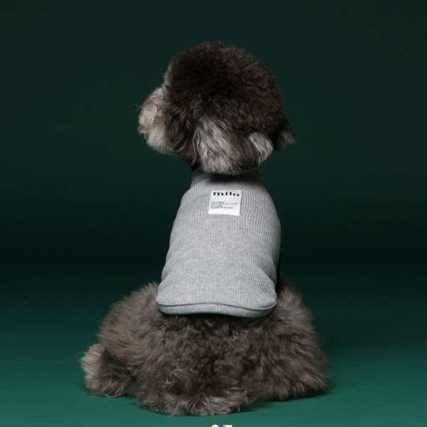 double neck t-shirt(2) Milo 雙色高領T-Shirt 灰色款