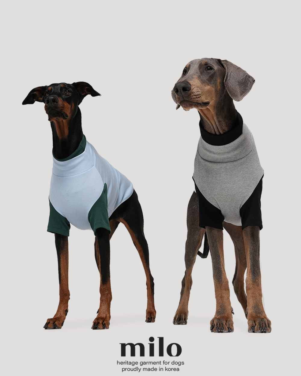 Milo 雙色高領T-Shirt 灰色款