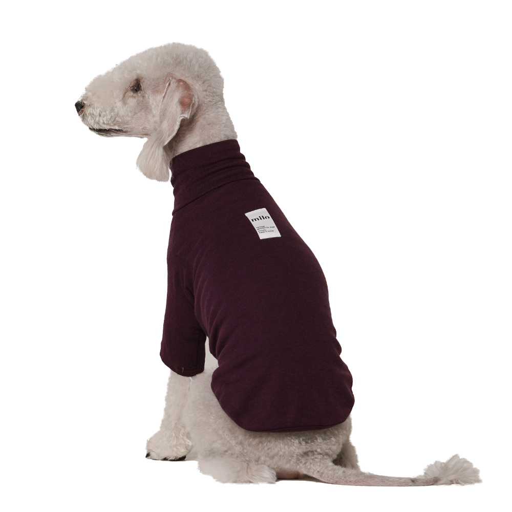 Milo 羊毛蠶絲高領衣(三色)