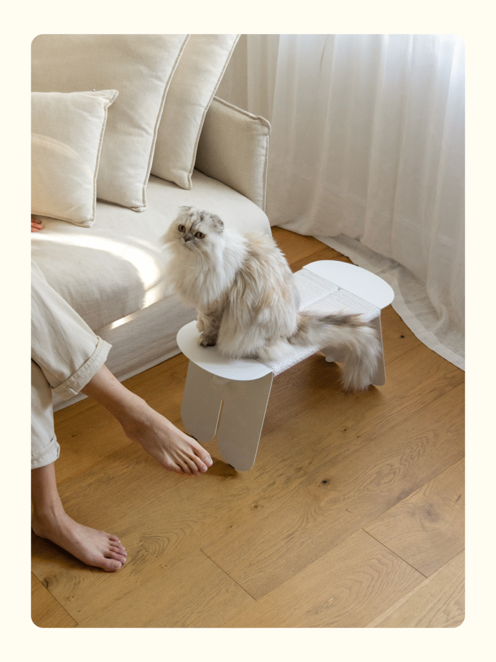 FIDOTAIL 貓咪迷你長板抓椅