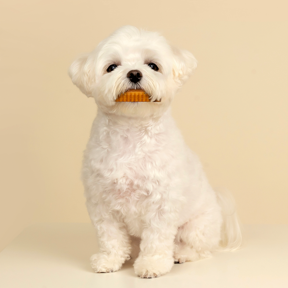 Honeycomb Chew - 蜂巢六角潔牙骨(六款)