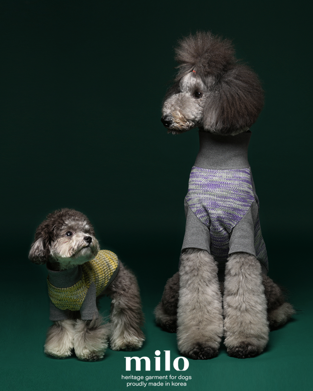 MILO 漸層針織衣