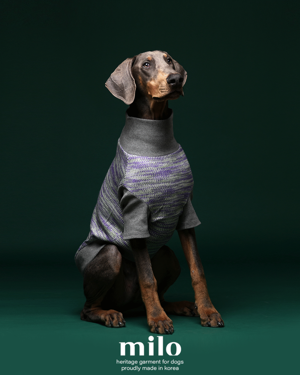 MILO 漸層針織衣