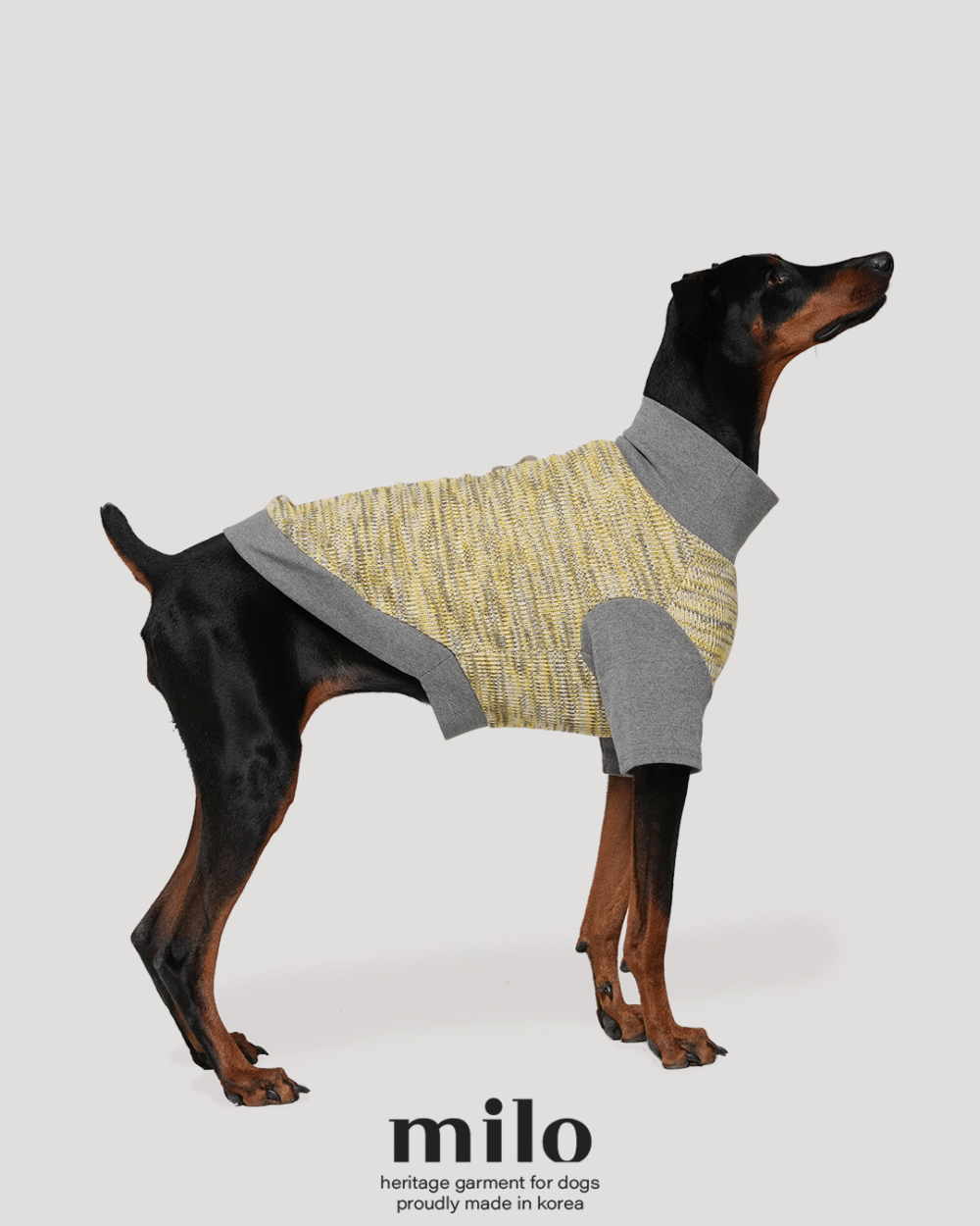 MILO 漸層針織衣